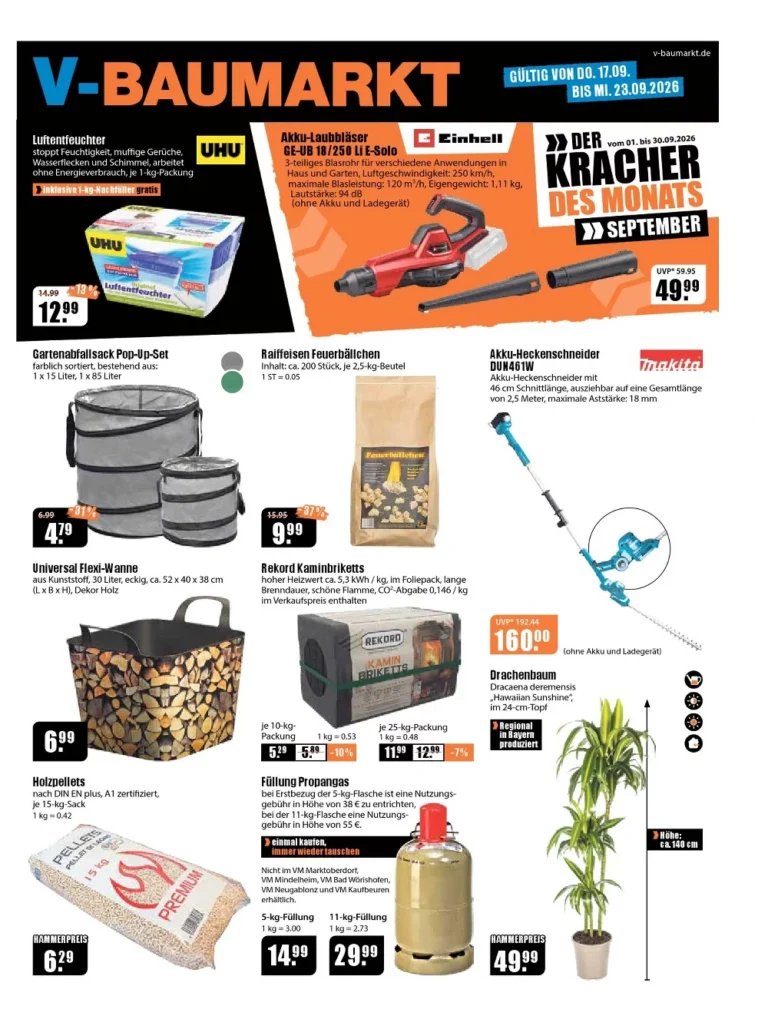 v baumarkt prospekt kw-38