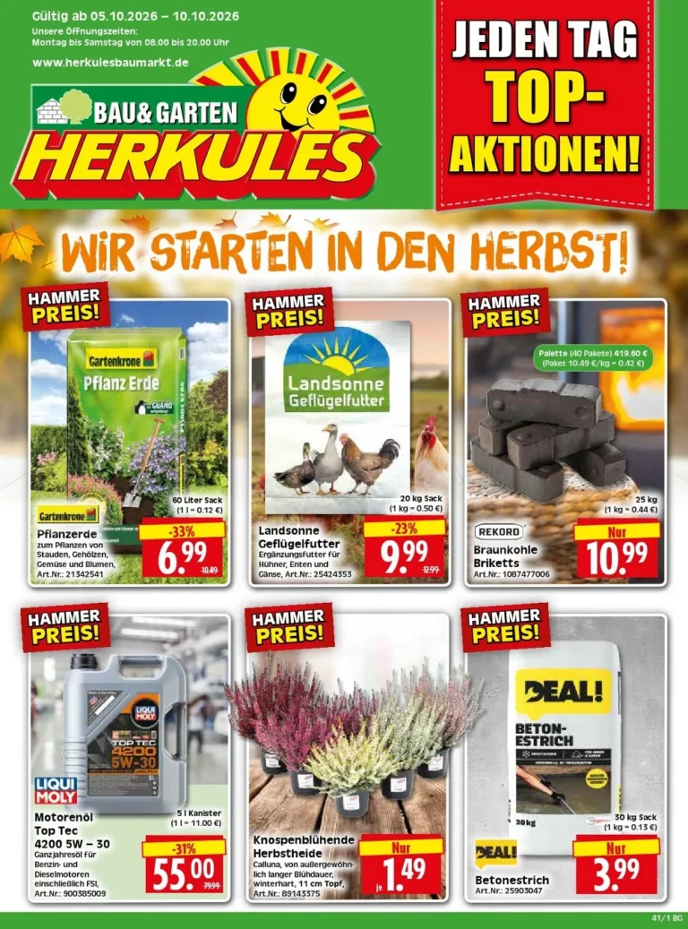 herkules baumarkt prospekt kw-41