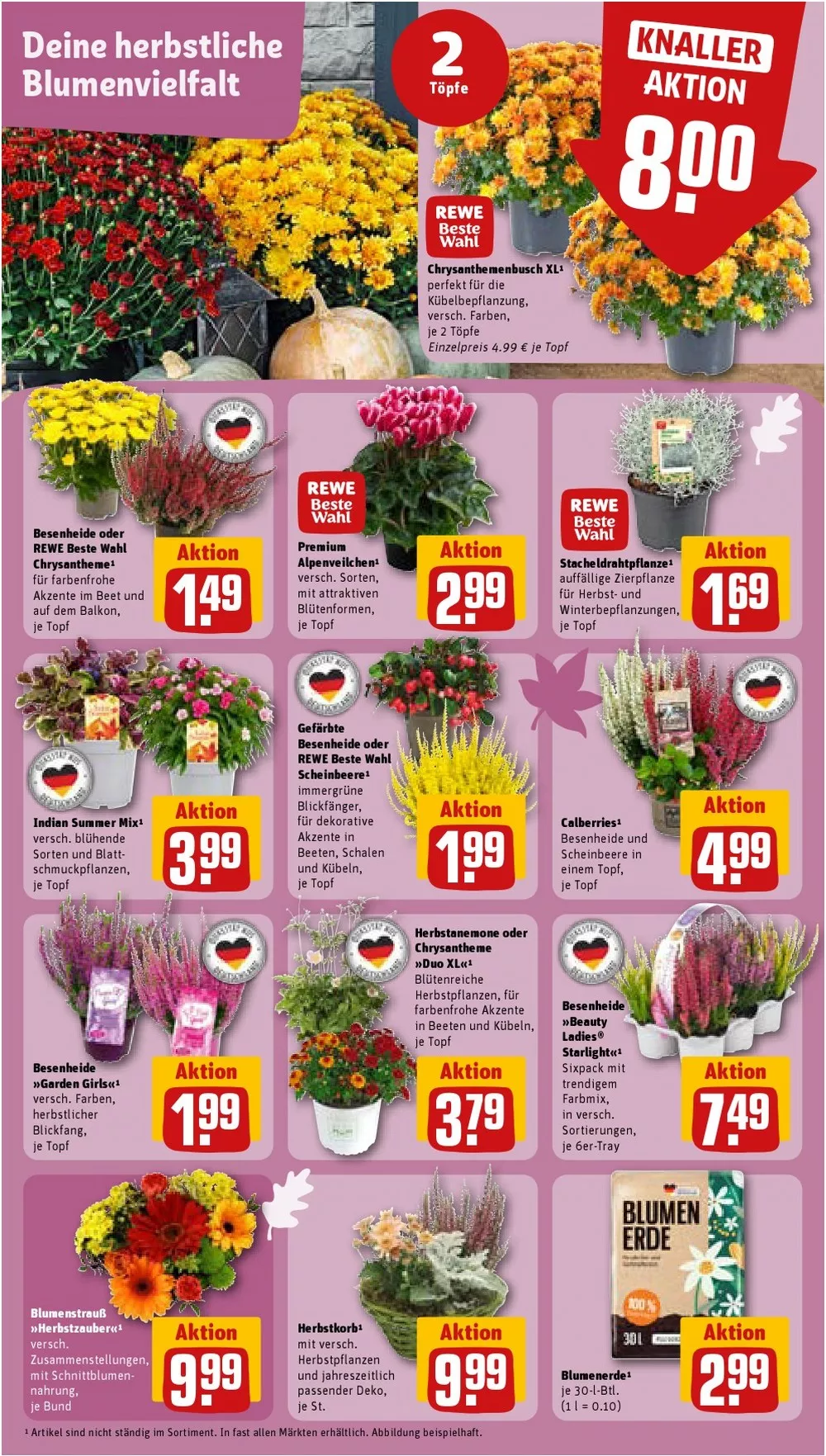 rewe prospekt september 14 19 5 494