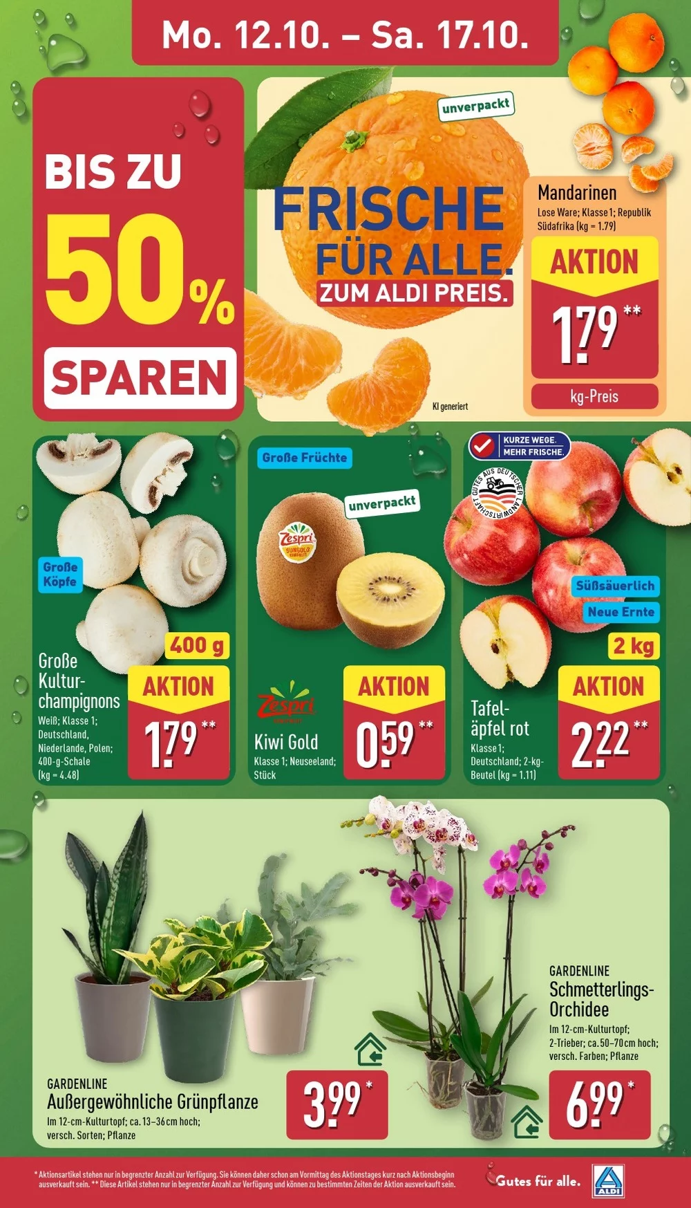 aldi nord prospekt 19 24 3