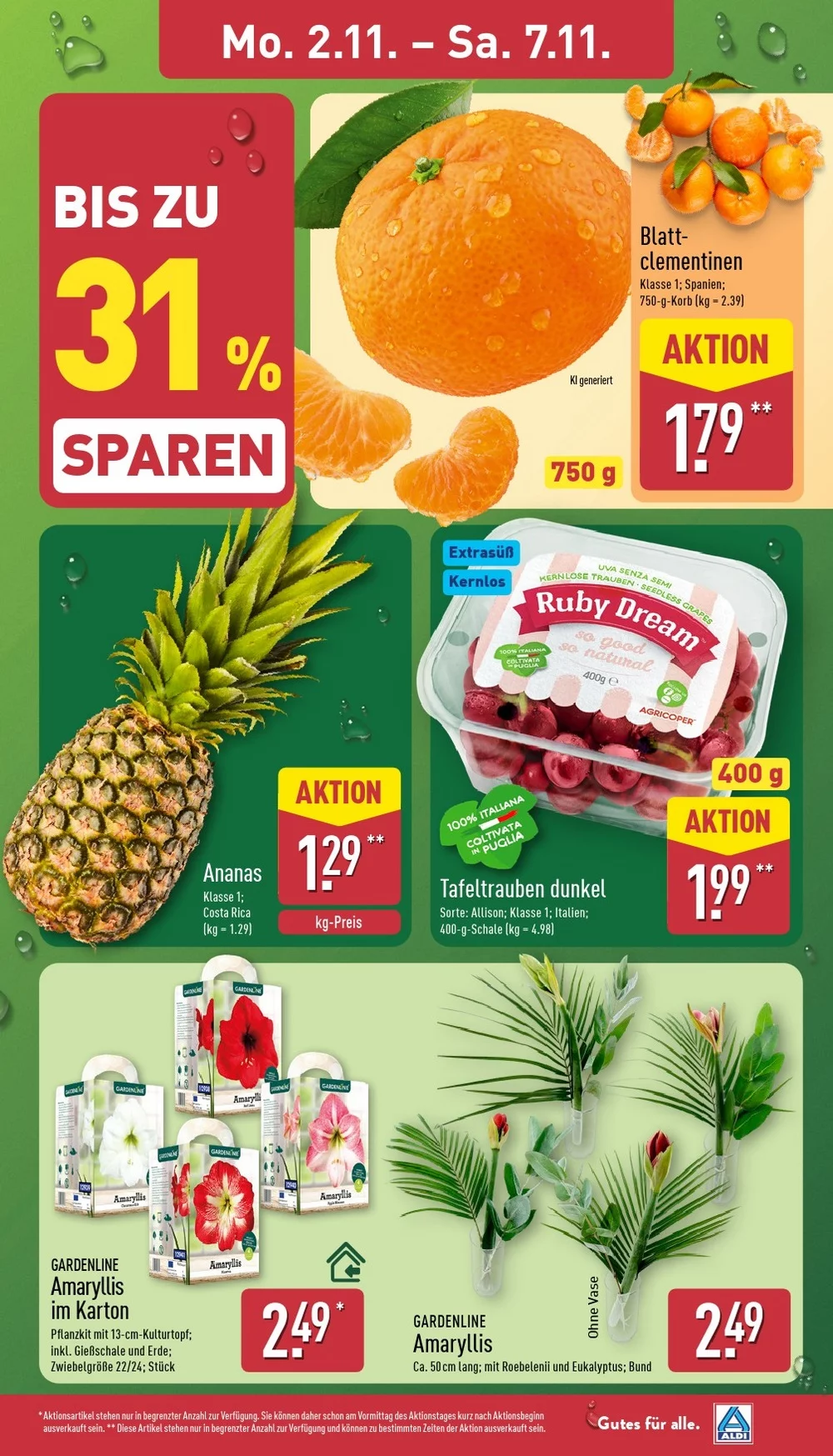 Aldi Nord Prospekt ab 02.11.2026 Angebote Blättern 3 aldi nord prospekt november 2 7 3