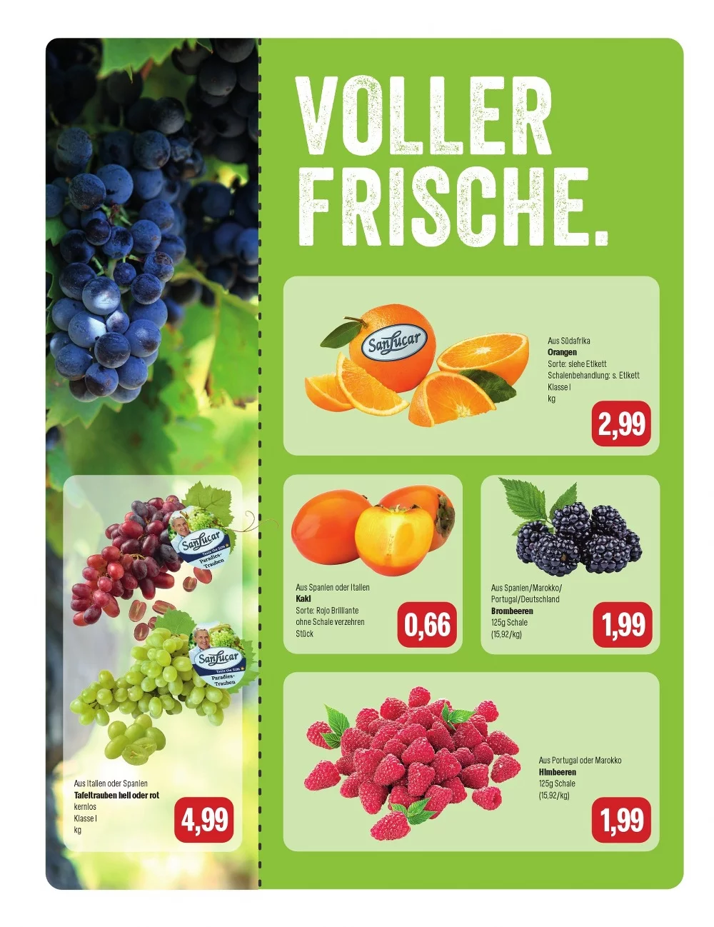 feneberg prospekt oktober 26 31 10