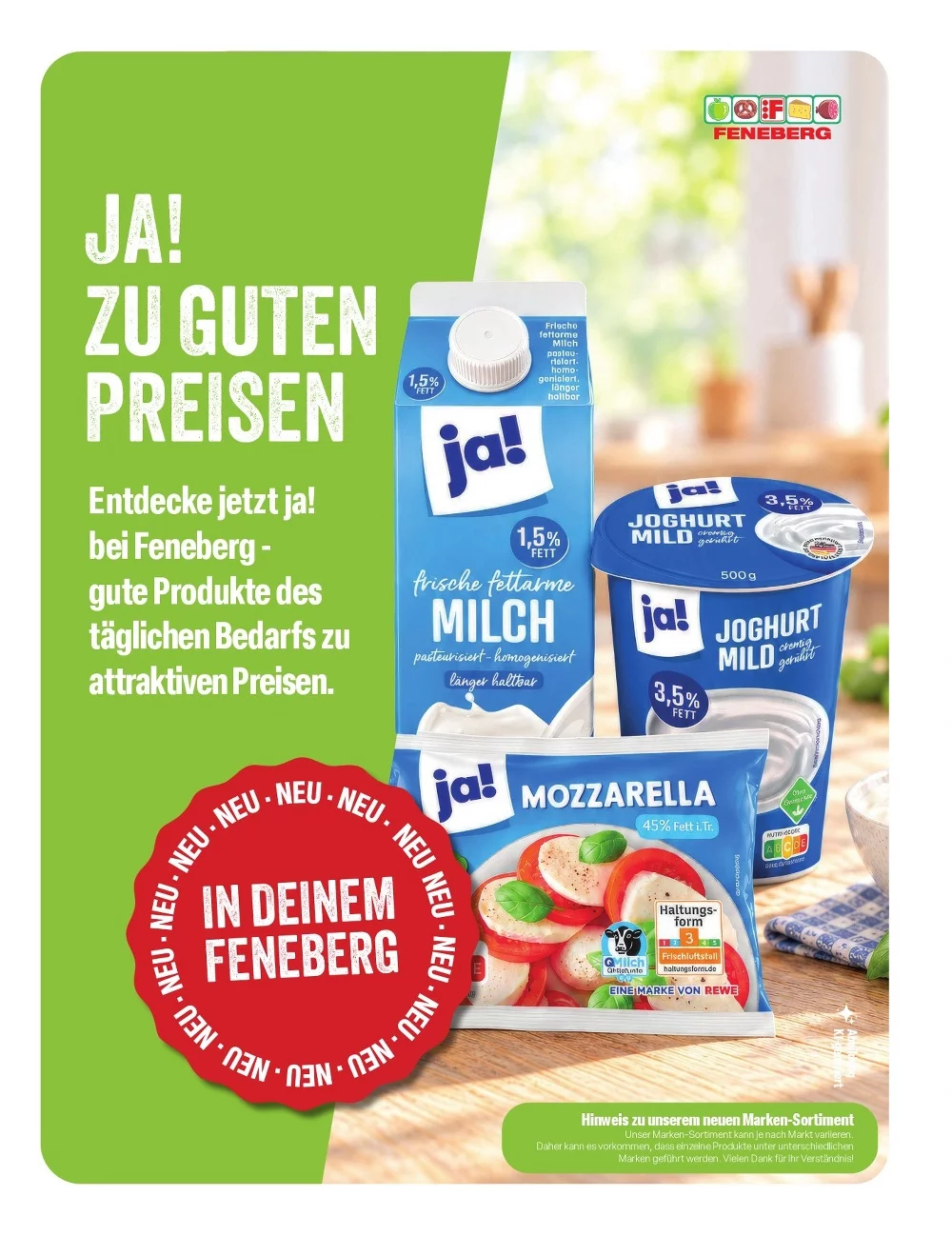 feneberg prospekt oktober 26 31 13