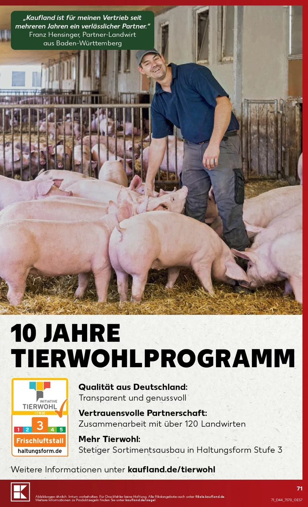 kaufland prospekt oktober 26 31 71