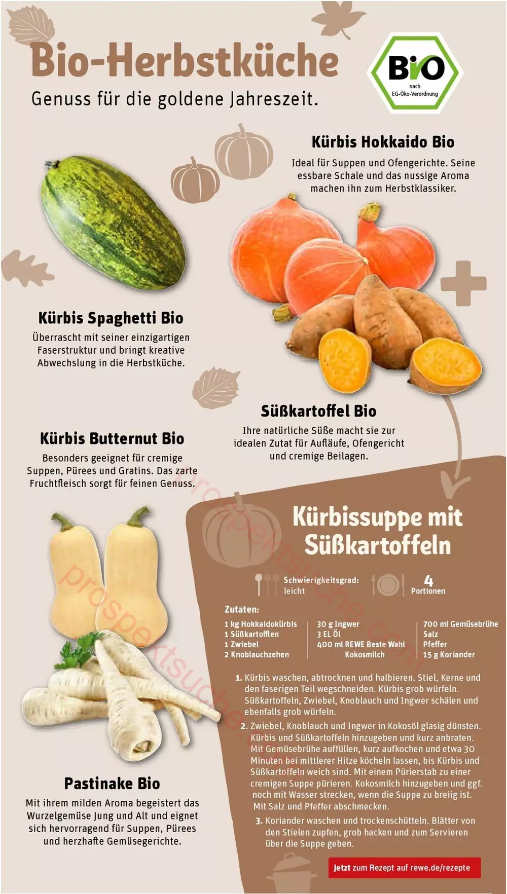 rewe prospekt oktober 26 31 28 836